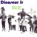 Take A Run At The Sun