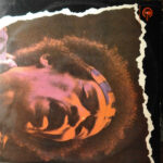 Fabuloso Jimi Hendrix