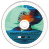 Where Is My Man (Joe T. Vannelli 2000 Remixes)