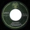 Voyage (A Journey Into Discoid Funk)