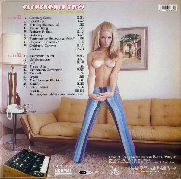 Electronic Toys (A Retrospective Of 70's Synthesizer Music)