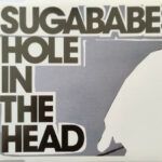 Hole In The Head