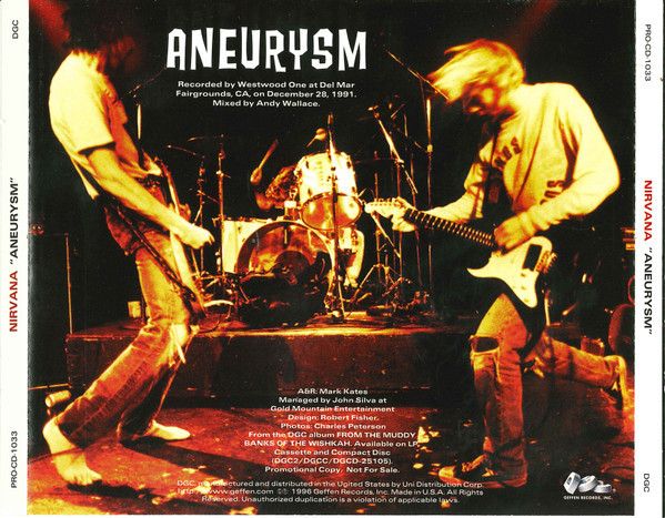 4fefed9ef92ed6e6c38719d0bb26a92563ac8f5f_0_0.jpeg Aneurysm