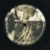 Surfer Rosa