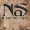 If I Ruled The World