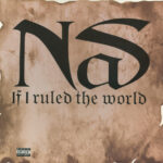 If I Ruled The World