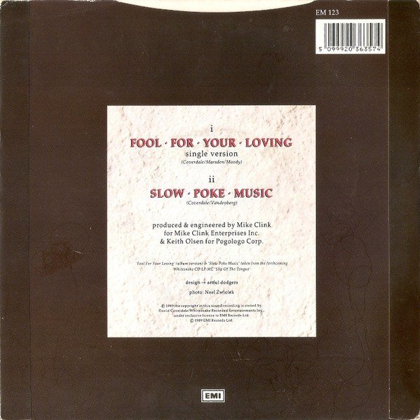 Fool For Your Loving
