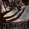 Epic Forest