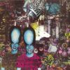 45b638d12bd72b566aa194f3e34843662b334df0_0_0.jpeg Laughing Academy