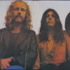 Embryo's Rache