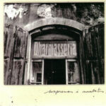 Dharmasseria