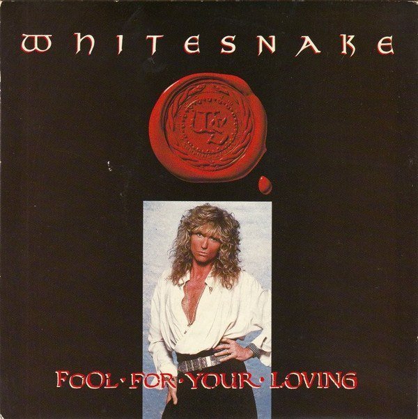 Fool For Your Loving