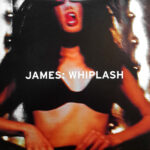 a80db238d76c03c4f0405bda5a1858920ca26425_0_0.jpeg Whiplash