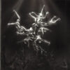 The Silver Tree