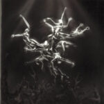 The Silver Tree